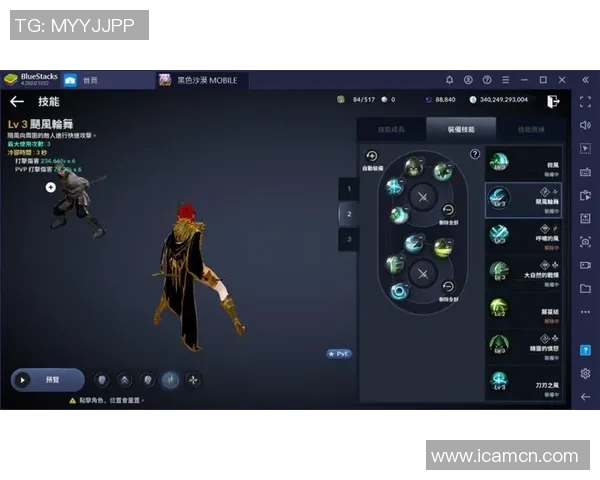 杨芳独家揭秘英雄联盟游戏技巧与心得分享助你提升实力与游戏体验