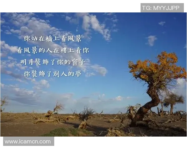 苏伟的奋斗历程与人生哲学探索：从平凡到卓越的心路历程