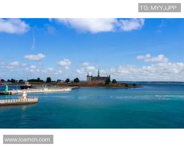 北西兰对阵哥本哈根精彩直播全程回顾与赛后分析